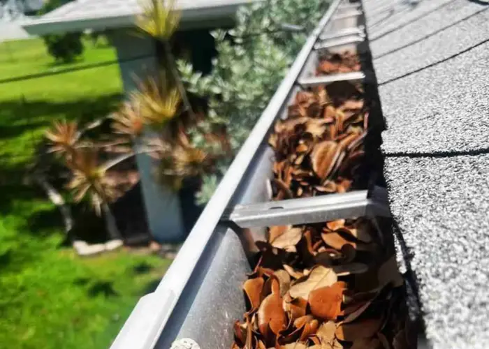 Gutter Cleaning Erwin home page